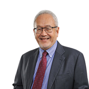 Prof. Dr. Amir S. Khir